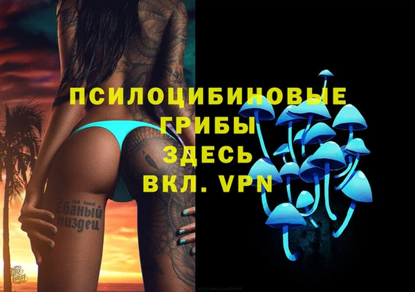 прущие крисы Краснотурьинск