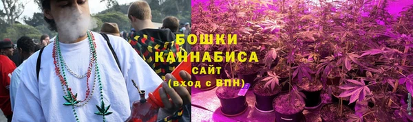 прущие крисы Краснотурьинск