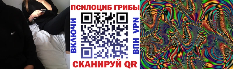 Псилоцибиновые грибы мухоморы  Купить где  Разумное 